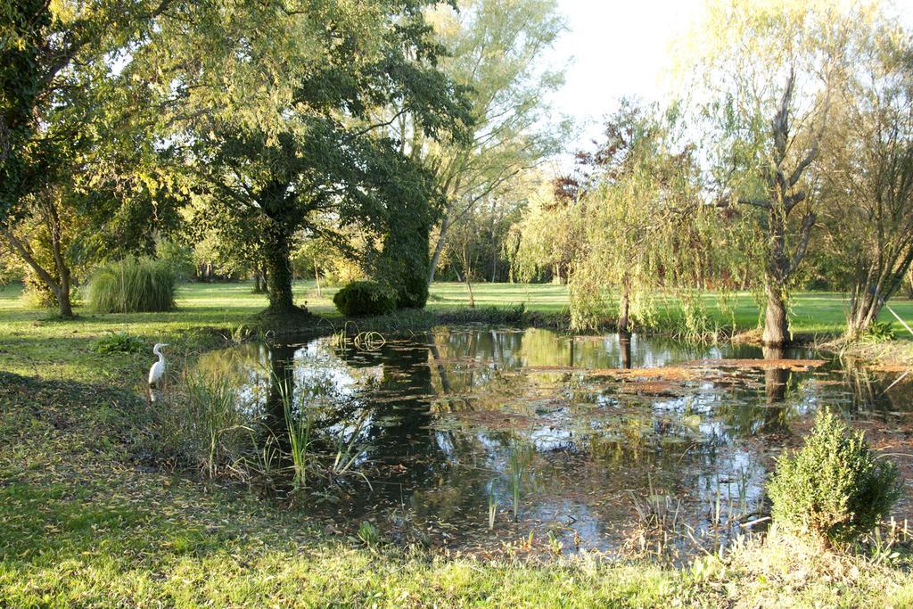 Maison Pres De L'Eau LʼIsle-sur-la-Sorgue Exterior foto